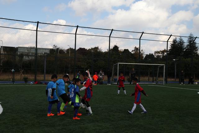 奥运-中国女篮不敌塞尔维亚遭两连败 韩旭11+7